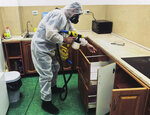 Fention (Lyotnaya Street, 15/20), disinfection, disinsection, deratization