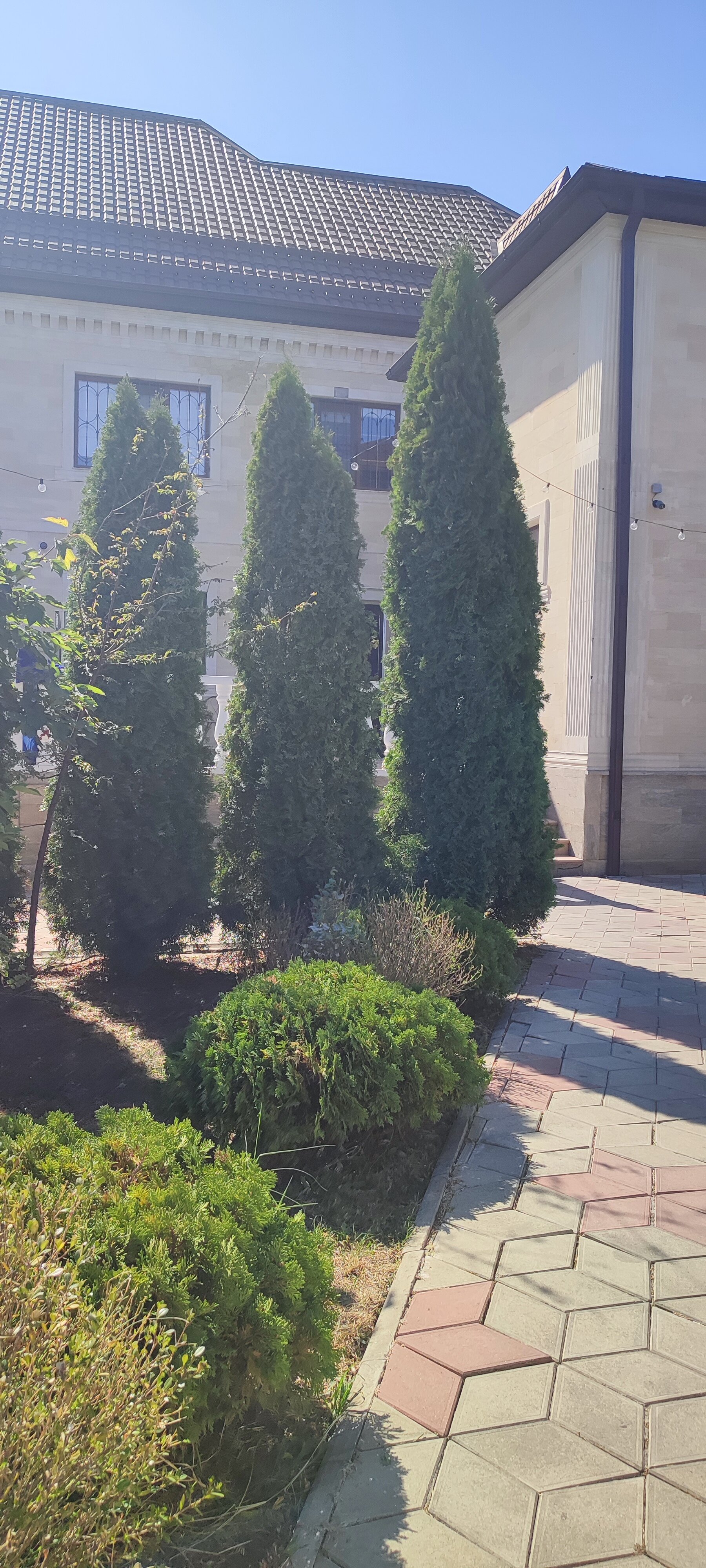 Фото Дом для отдыха