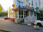 Lombard 888 (Novorossiyskaya Street, 16к2), pawnshop