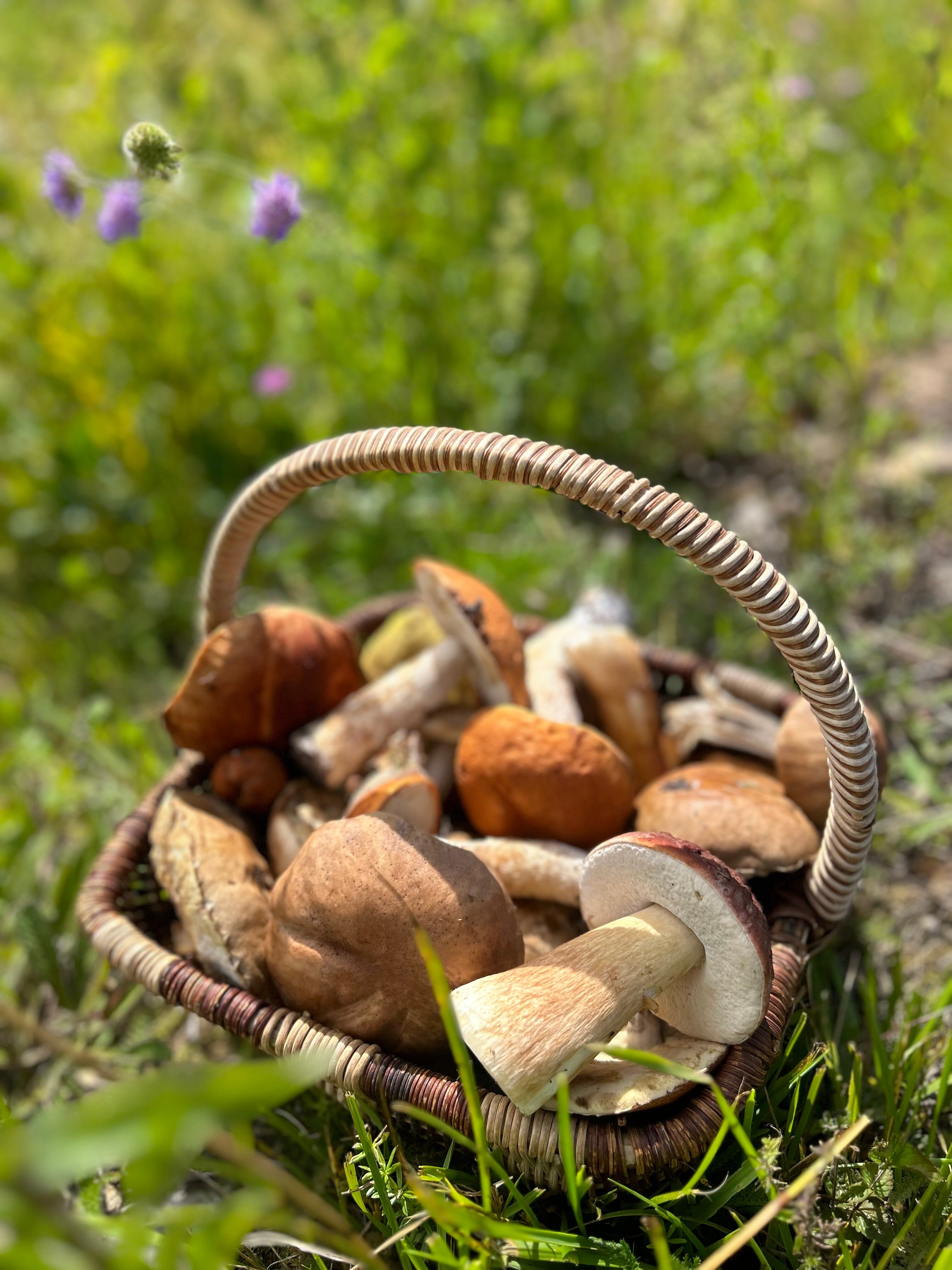 Фото Экоферма Старый Сиг