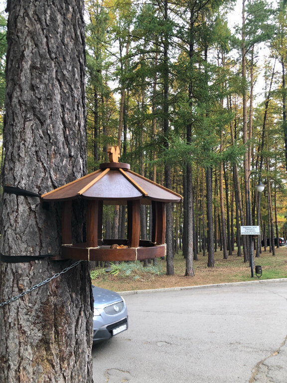 Фото Президент Отель