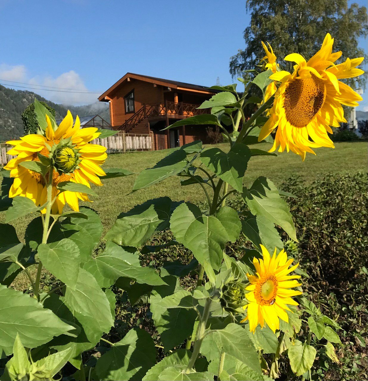 Фото отеля 3