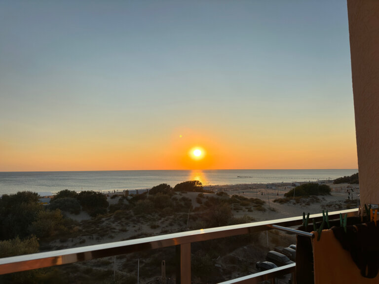 Фото Palma Soneta