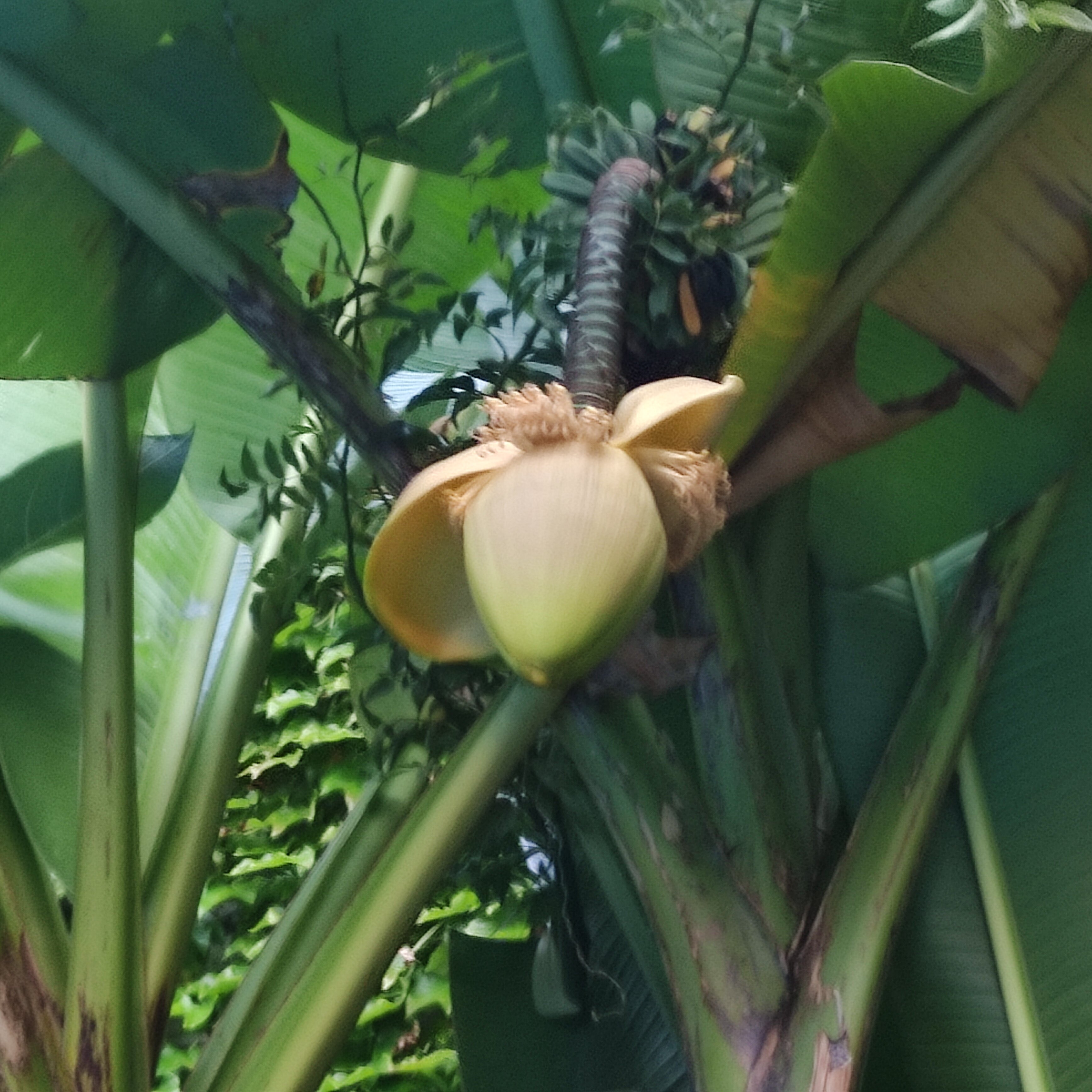 Фото 160789207254