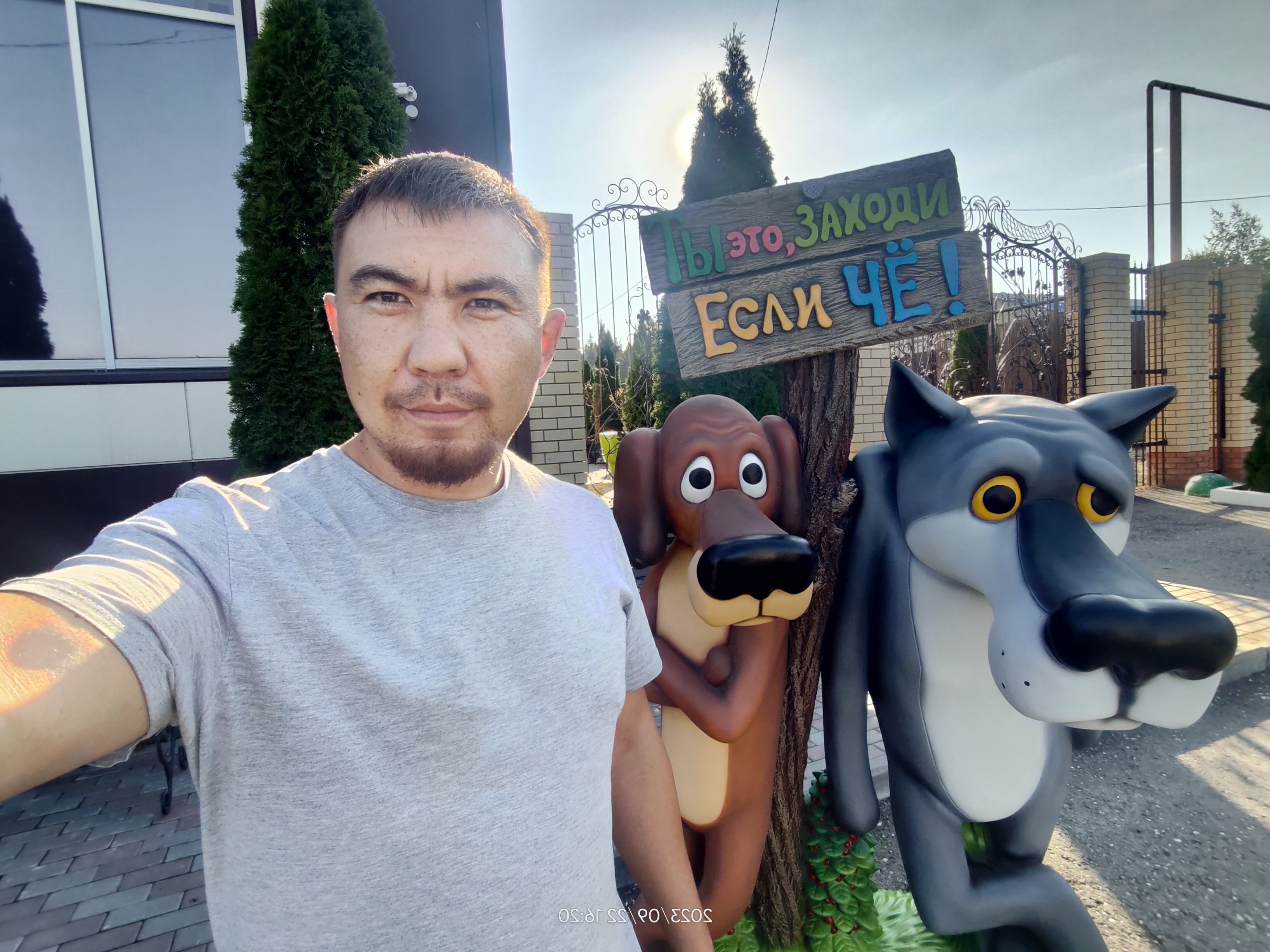 Фото Белые ивы