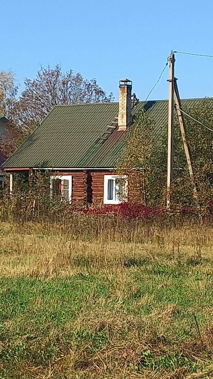 Фото Вьюлка