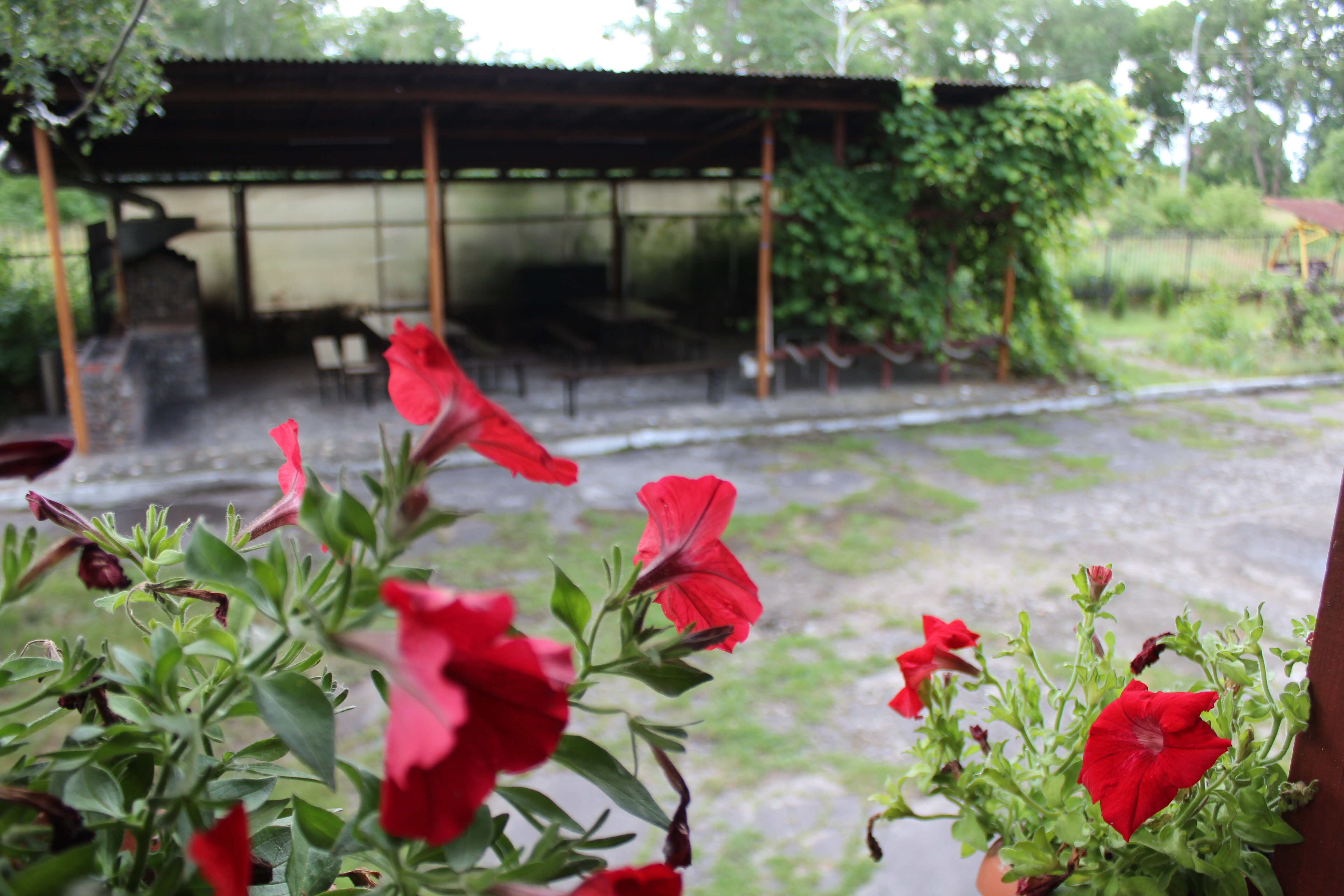 Фото Фрише Нерунг