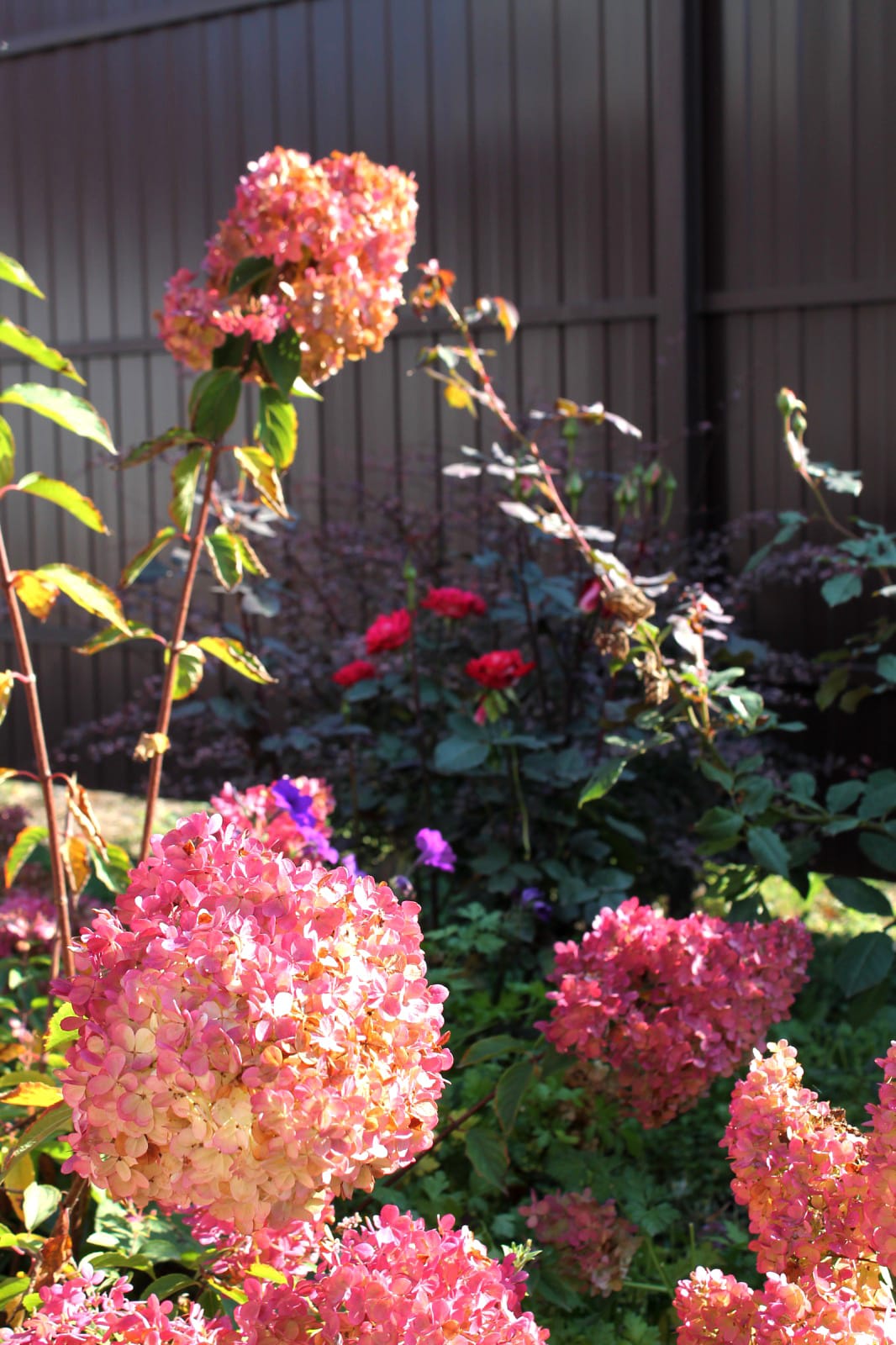 Фото Никольское