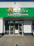 Благодарение (Kalyazin, Turgeneva Street, 37), farmacia