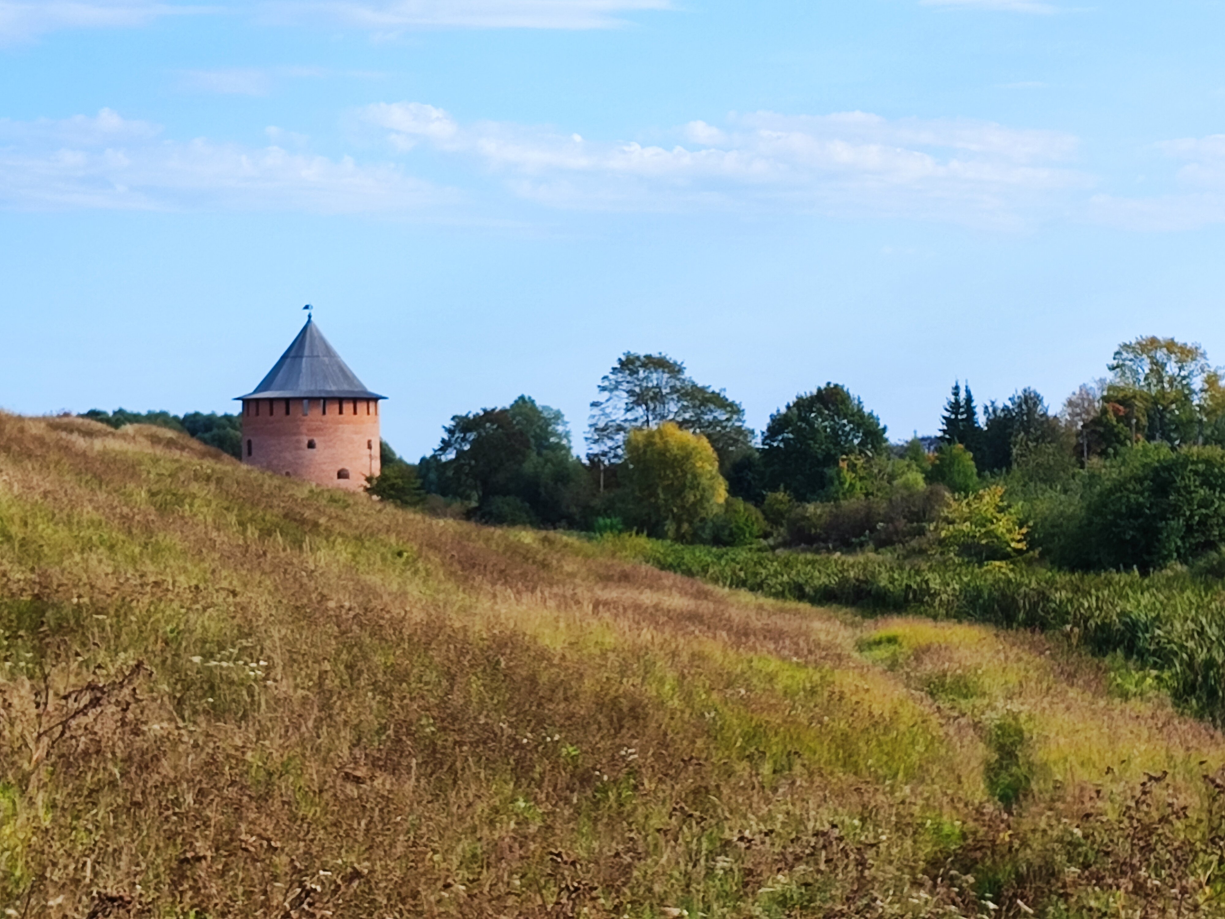 Фото Три кота