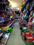 1000 мелочей (30 Let VLKSM Street, 53А), garden tools and equipment