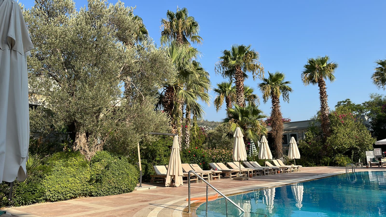 Фото Zeytinada Hotel