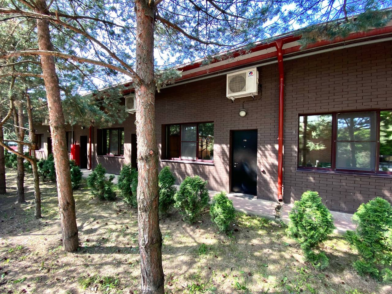 Фото Аватара