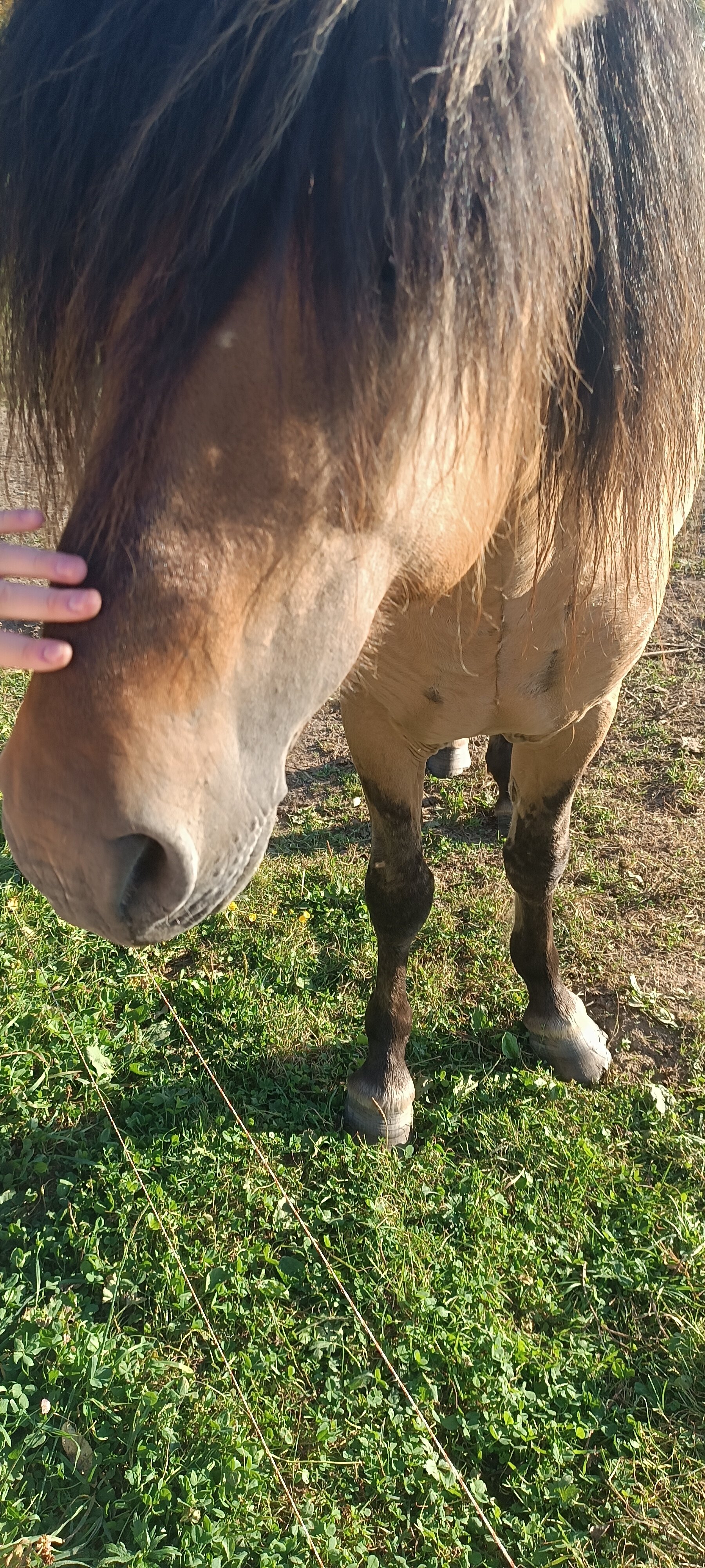 Фото Кузьмадино