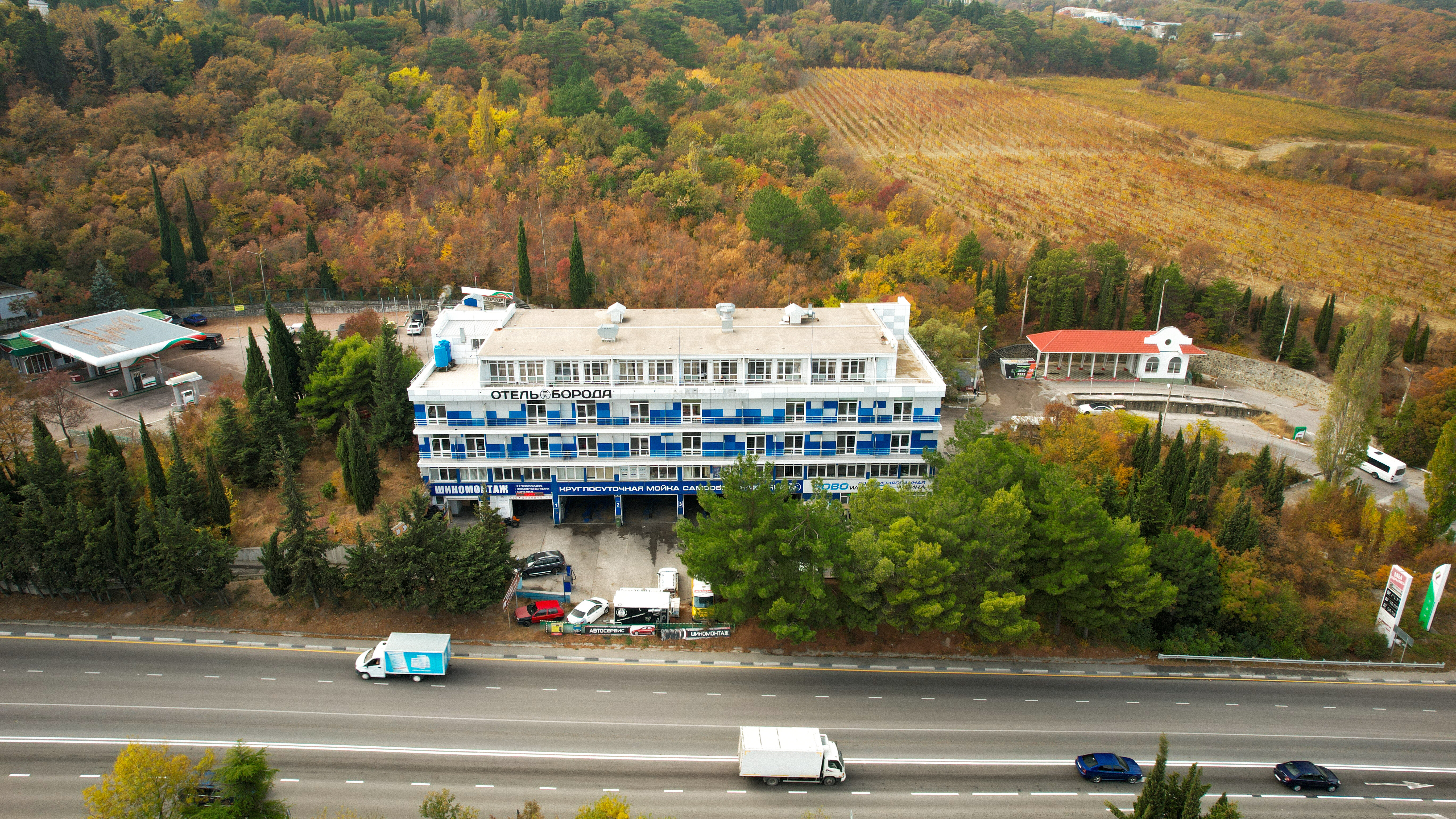 Фото Борода