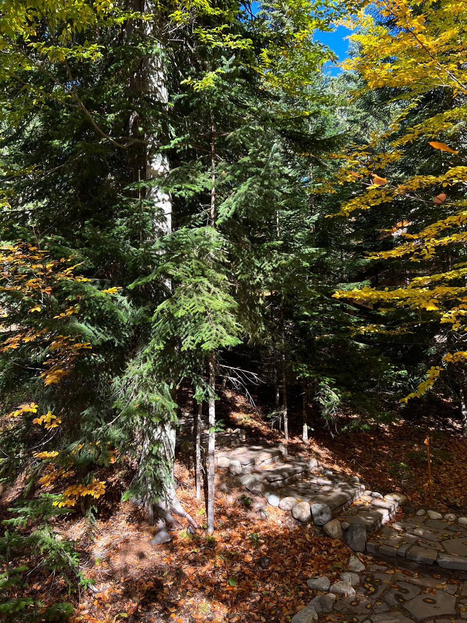 Фото Горы Village