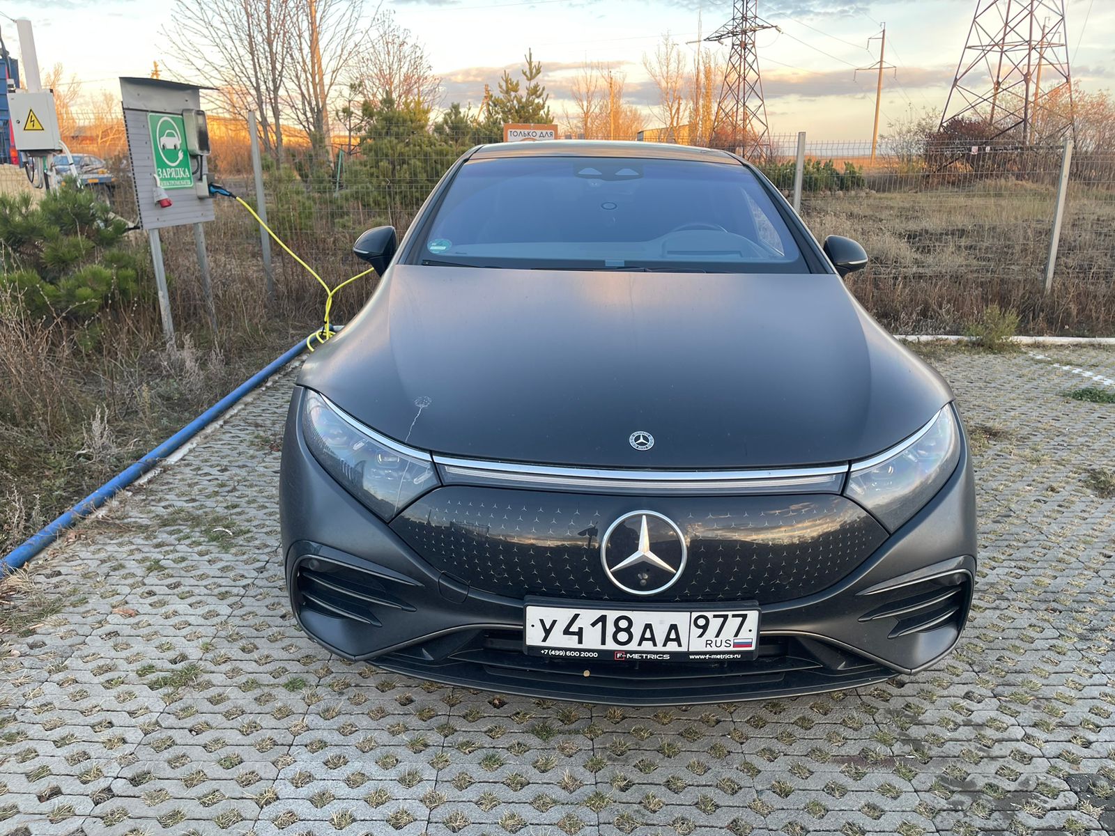 Фото Двор сурка