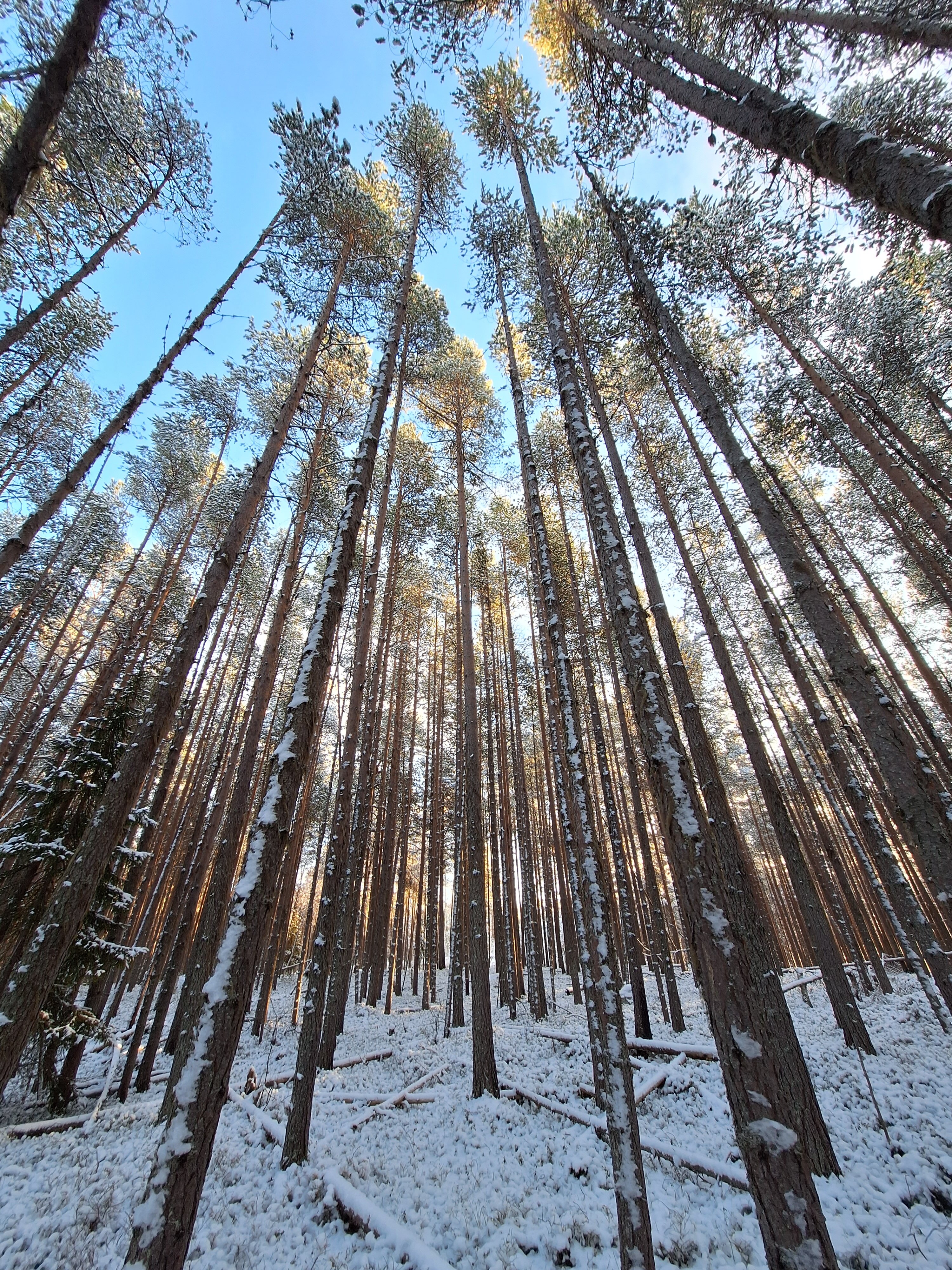Фото Полярный круг