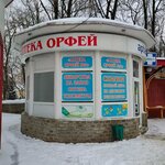 Aptechny punkt Orfey № 1 (Bryansk Region, Dyatkovo, ulitsa Lenina) ، صيدلية