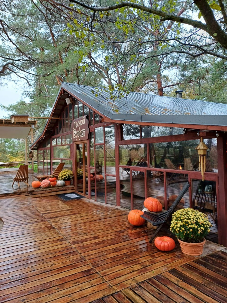 Фото Куршале