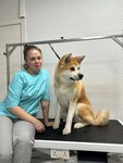 DogFame (Moscow, Storozhevaya Street, 40) ، صالون حيوانات أليفة