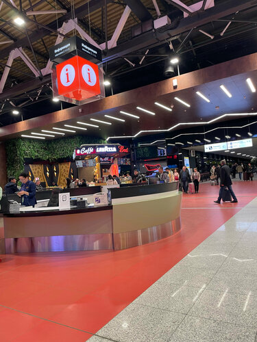 Ылғал киска мен мүшесі