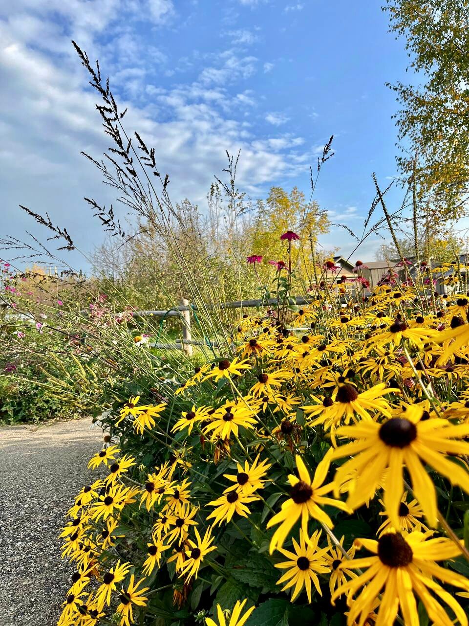 Фото Изба де Шарм