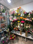 Cvetni pogon (Antifasisticke Borbe Street, 21), flower shop