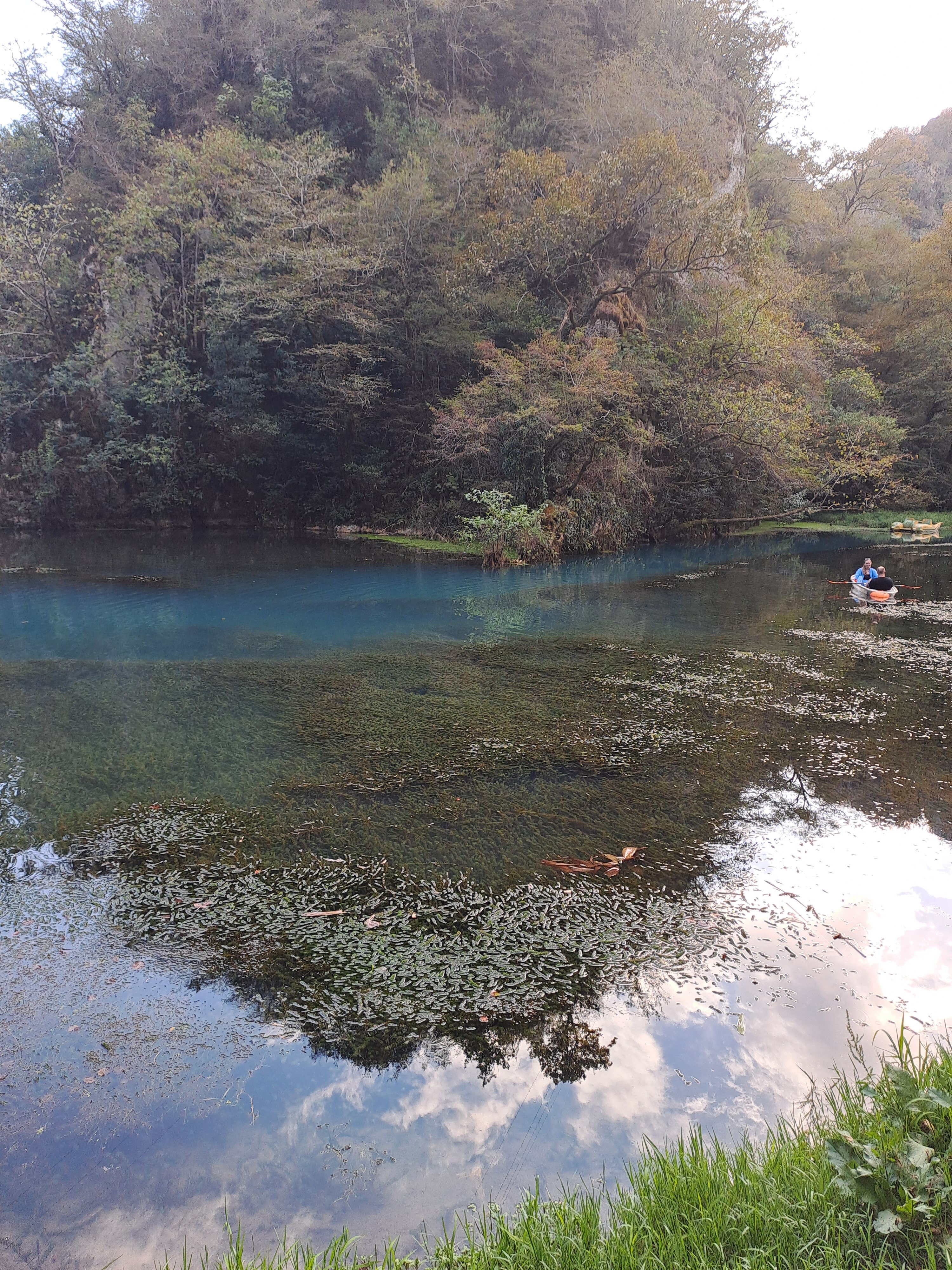 Фото Holiday park Psyrdzha