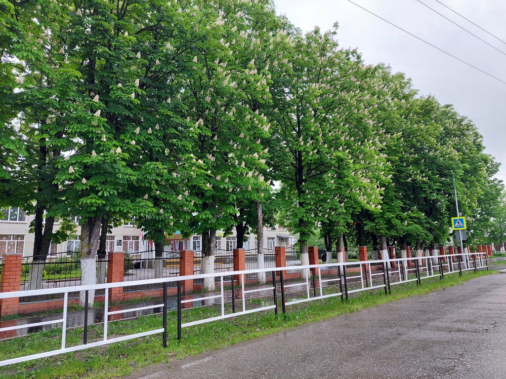 Общеобразовательная школа Средняя школа № 2, Краснодарский край, фото