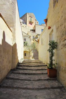 Фото Piano Piano - Rooms