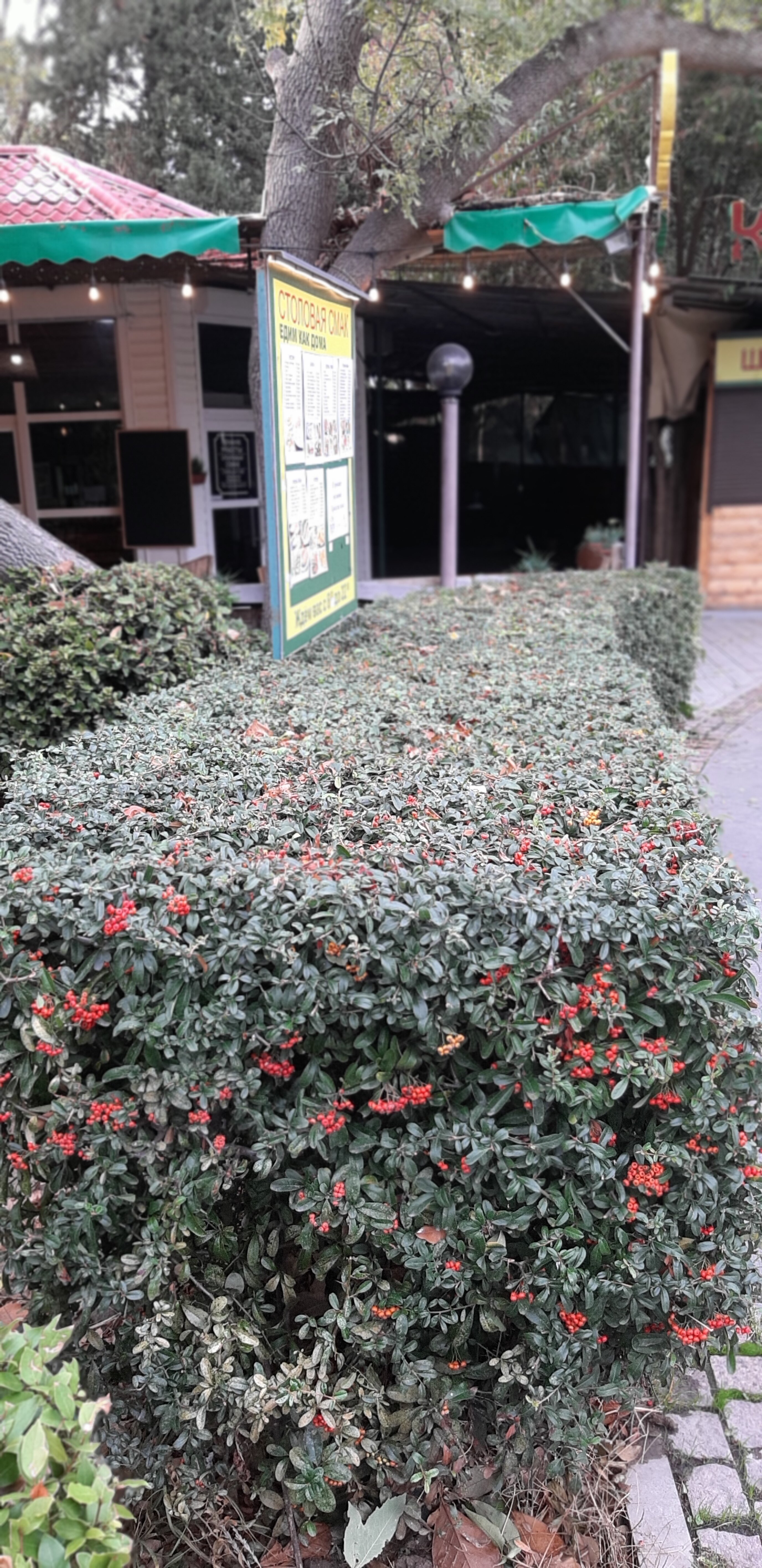 Фото Покровское Стрешнево