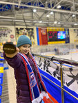 V.M. Bobrov Ice Palace (Pobedy Avenue, вл8с1), sports center