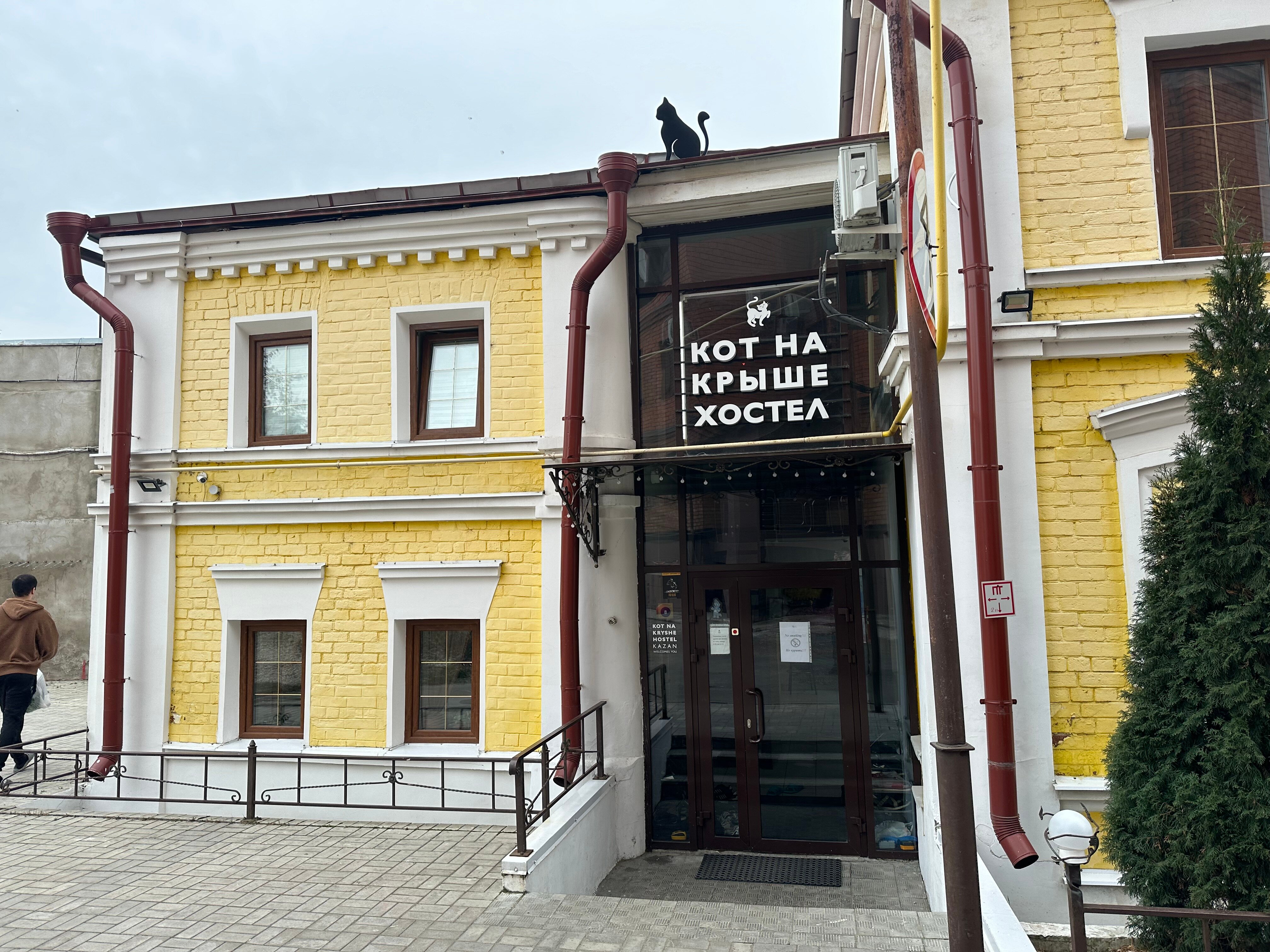 Фото Кот на крыше