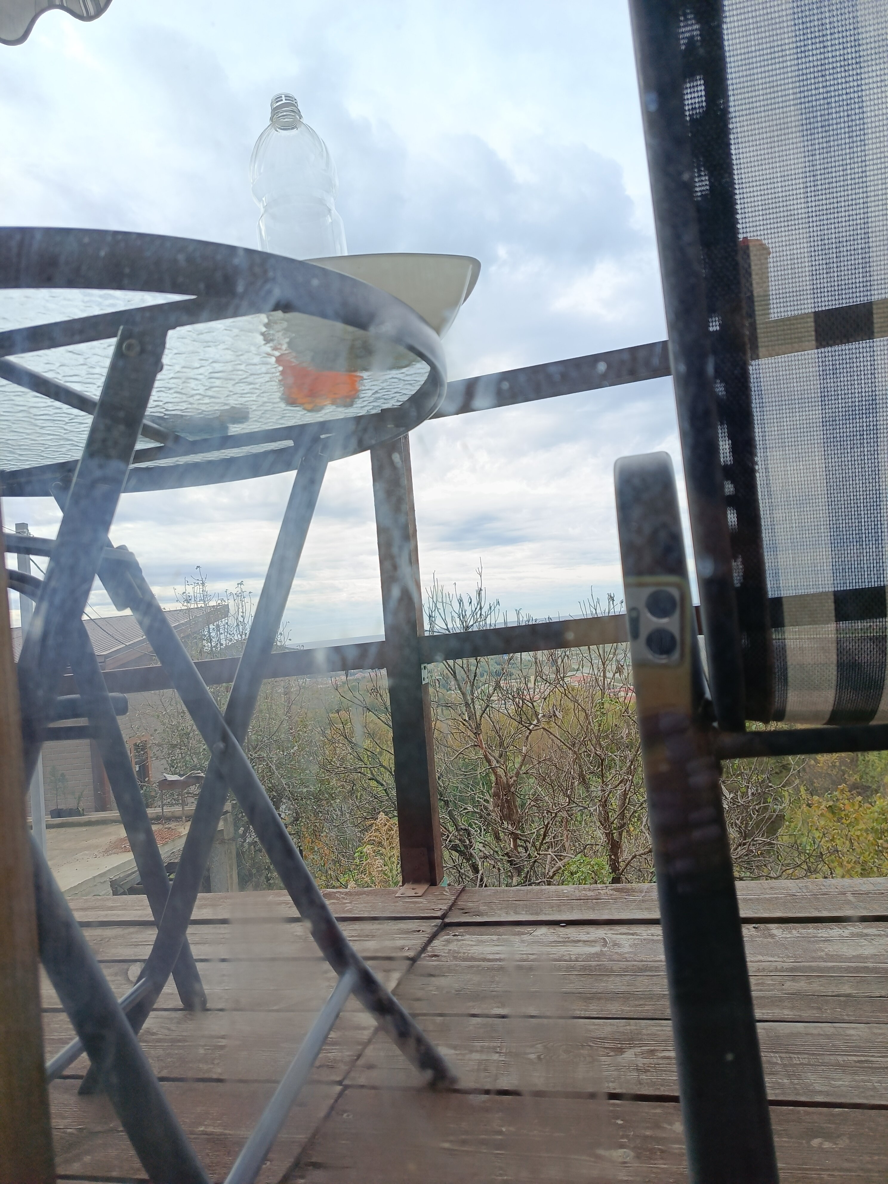 Фото Оранжереи