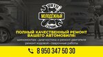 Молодежный (Dorozhnaya ulitsa, 8А), car service, auto repair