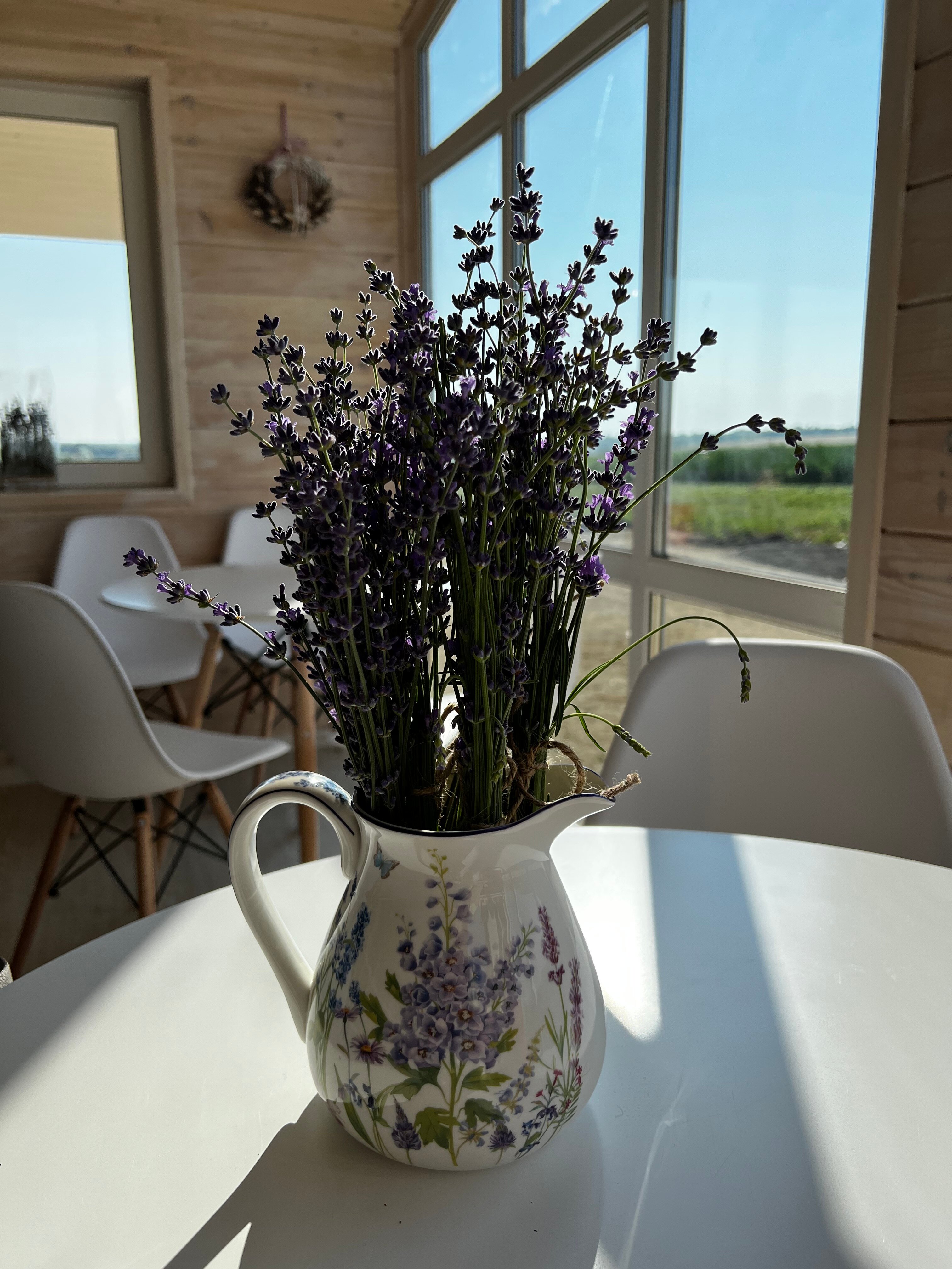 Фото Соты & Варенье