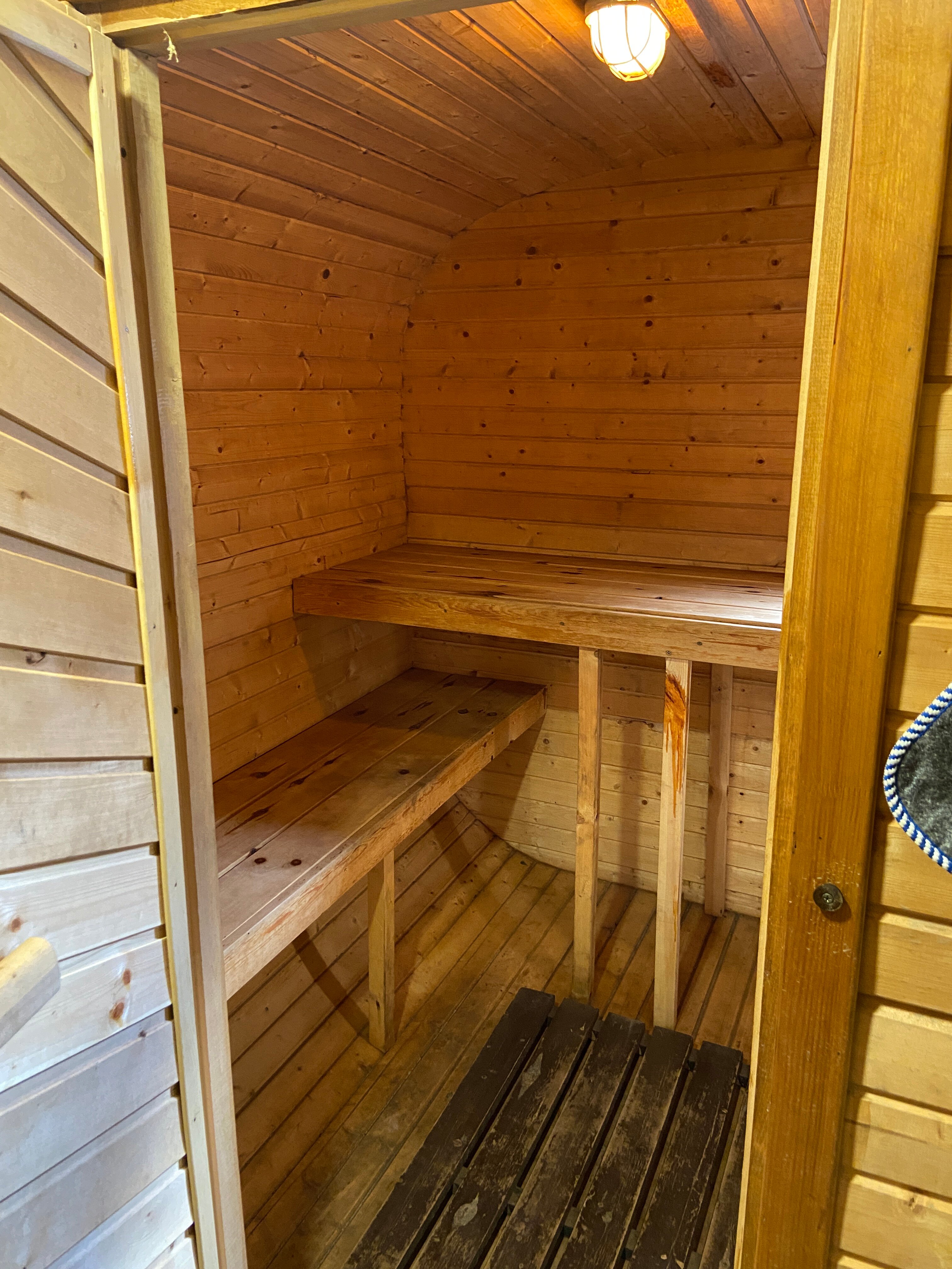 Фото Forest chan