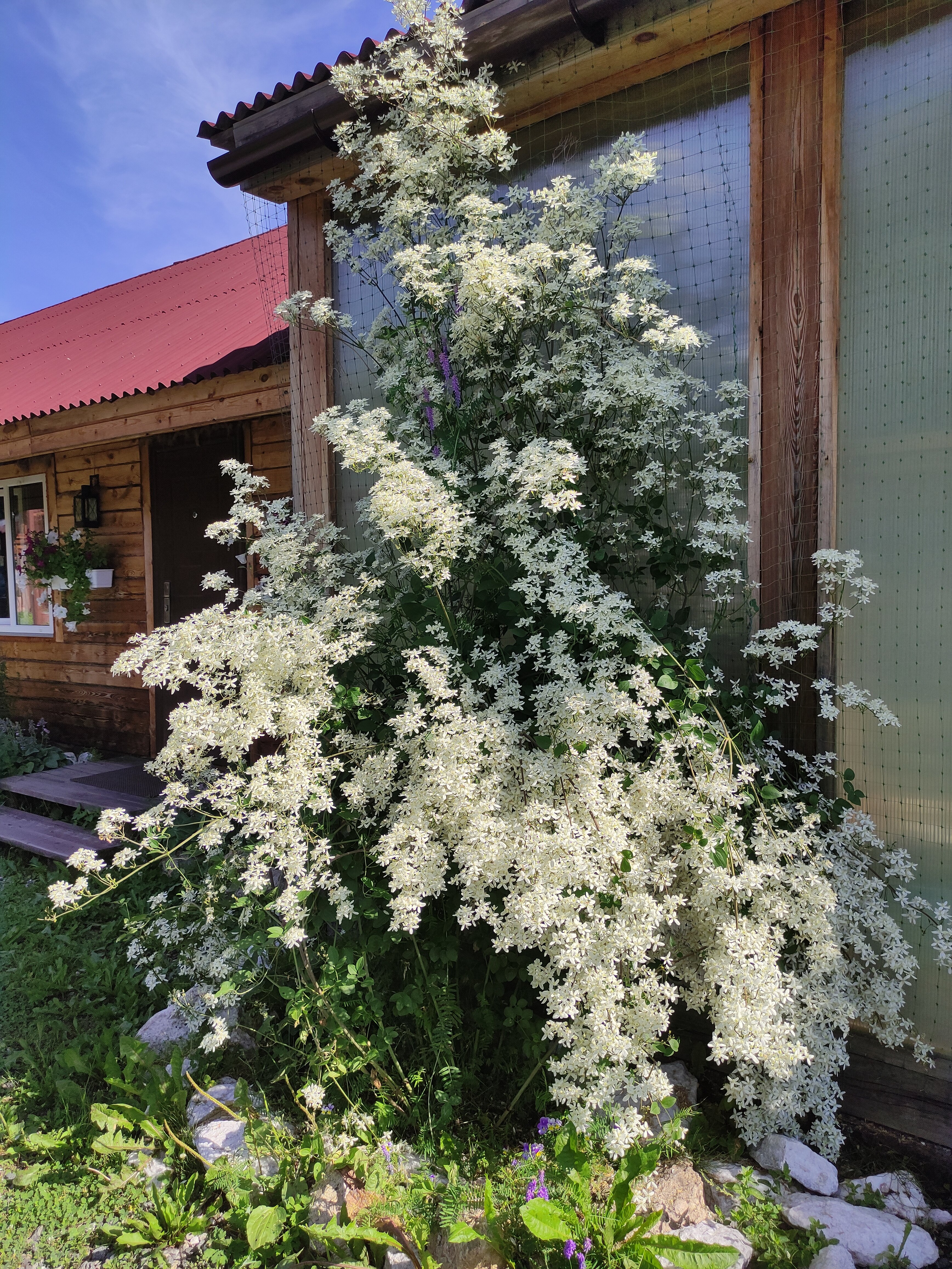 Фото Байкал Йети