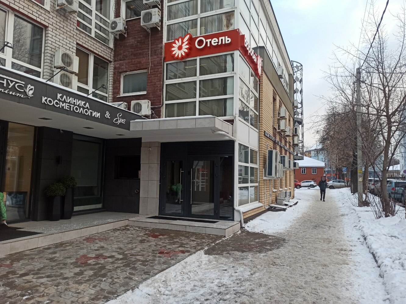 Фото Воробей