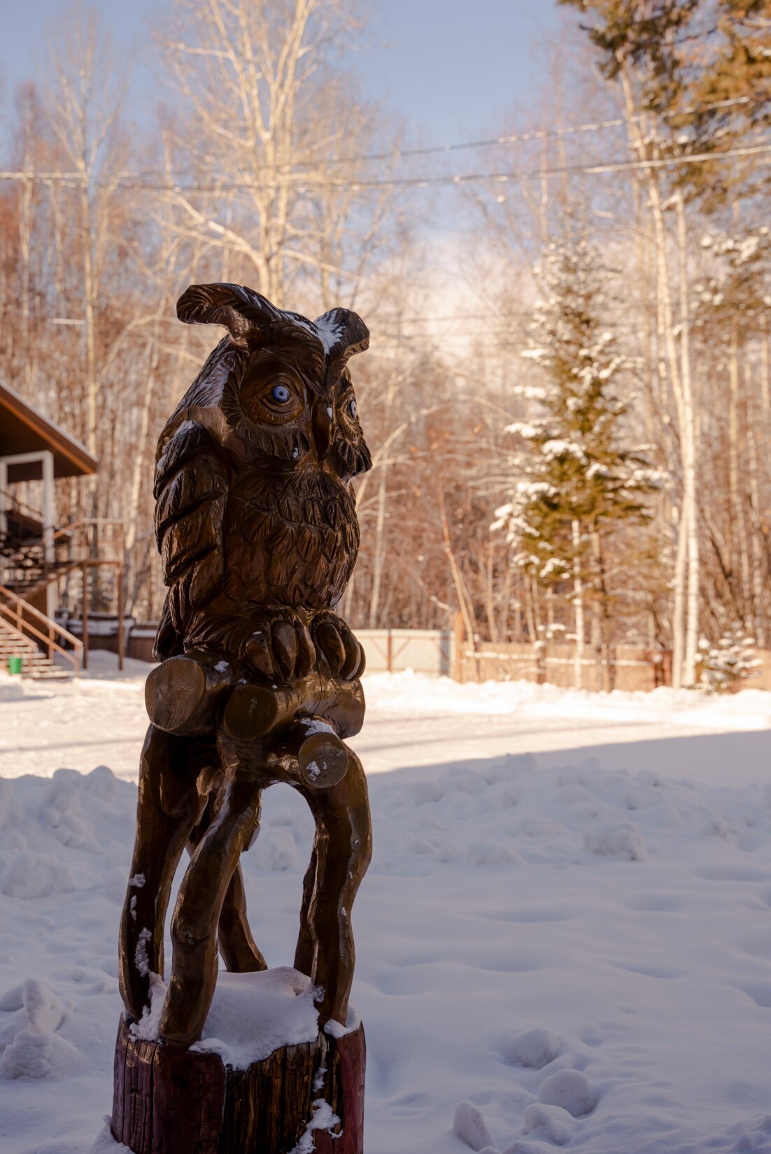 Фото Белый соболь