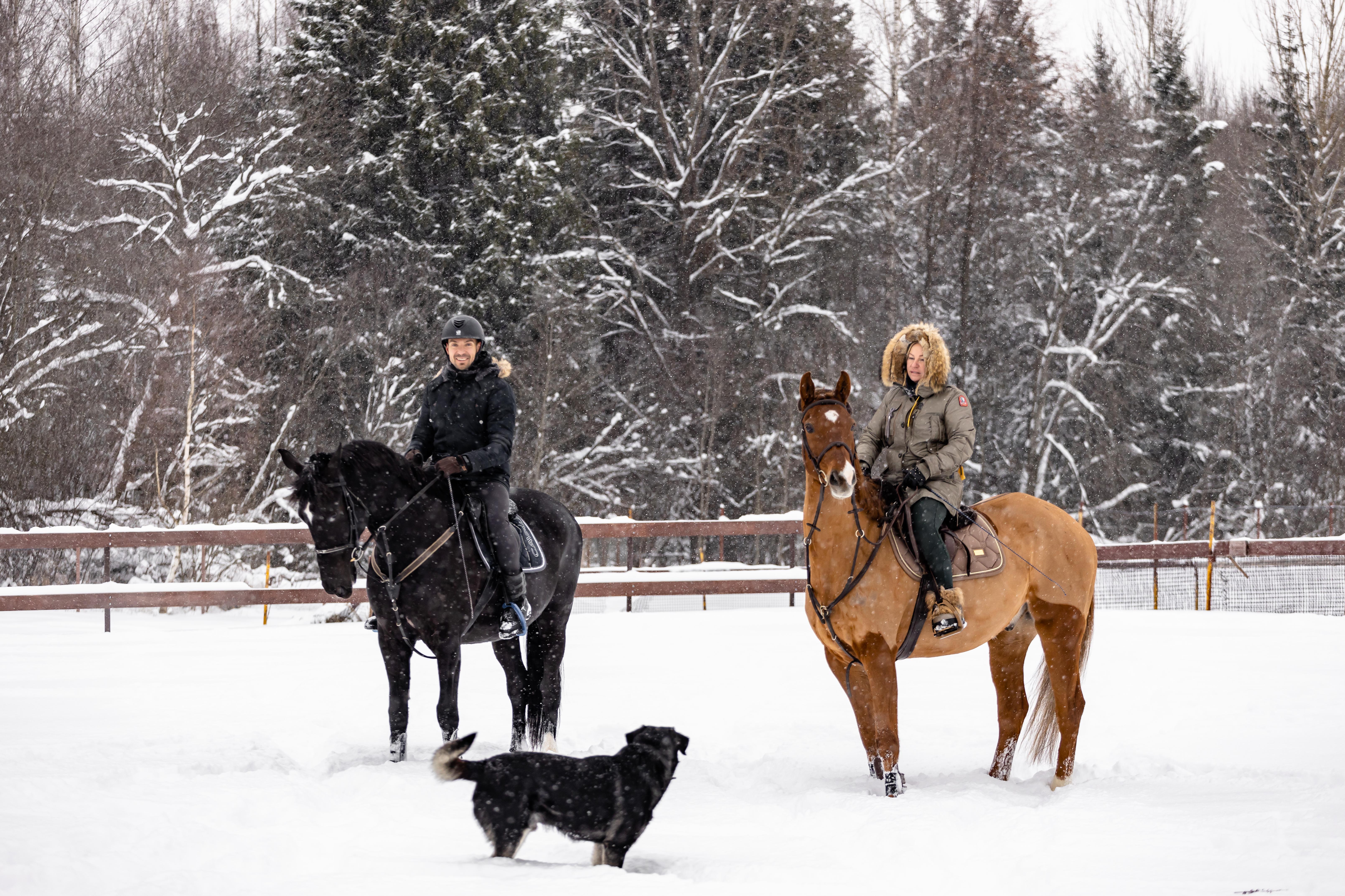 Фото Усадьба Четыре Сезона