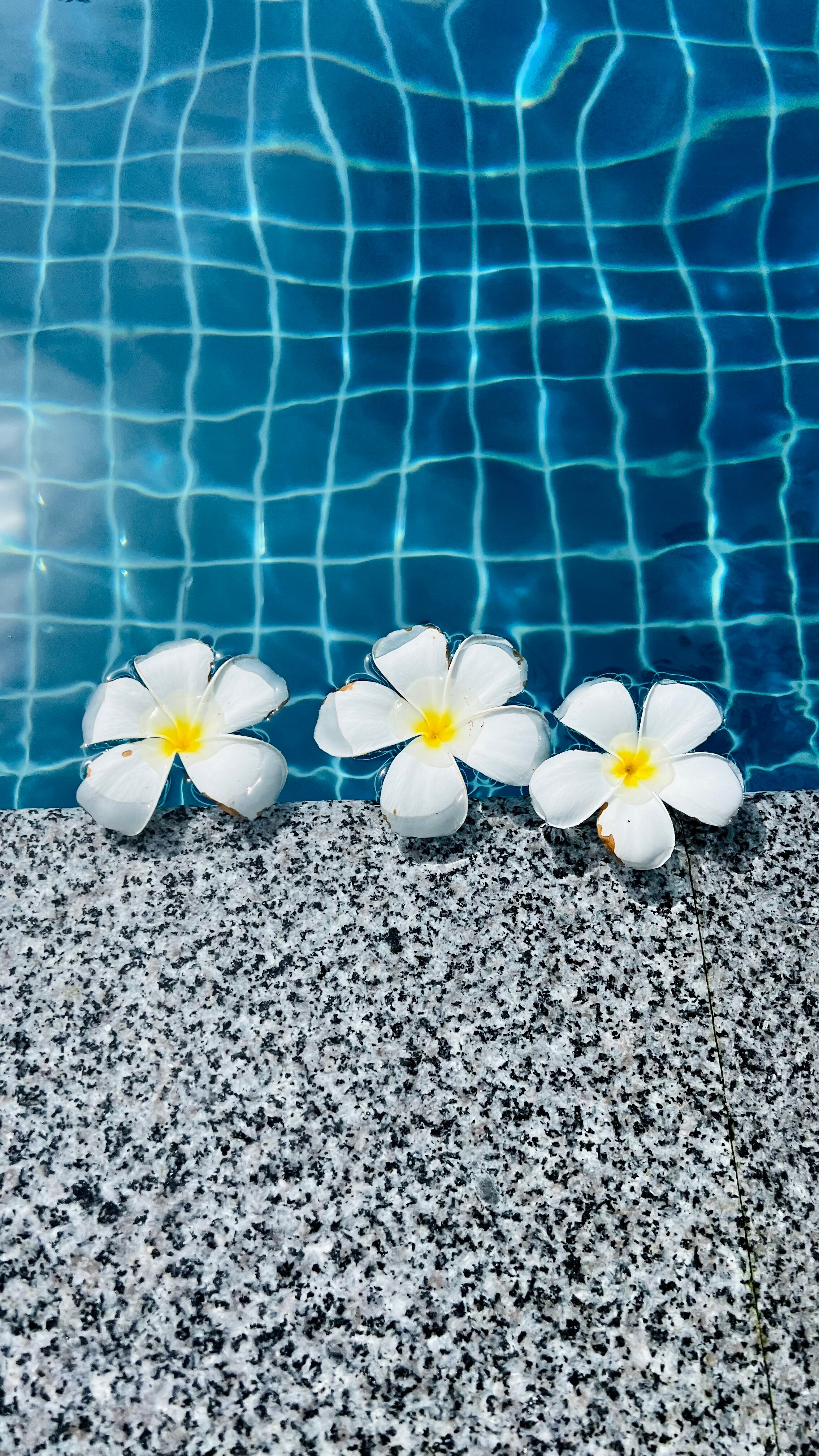 Фото Naithonburi Beach Resort