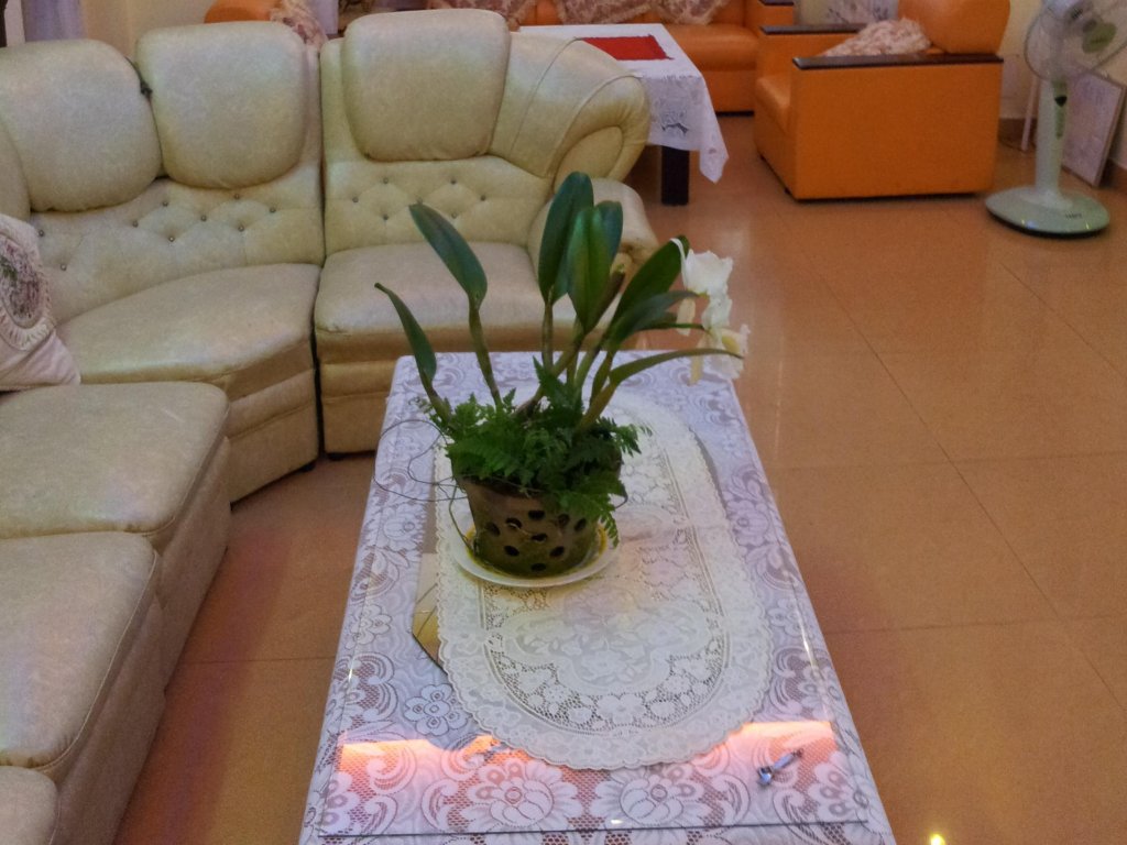 Фото Bich Khue Hotel