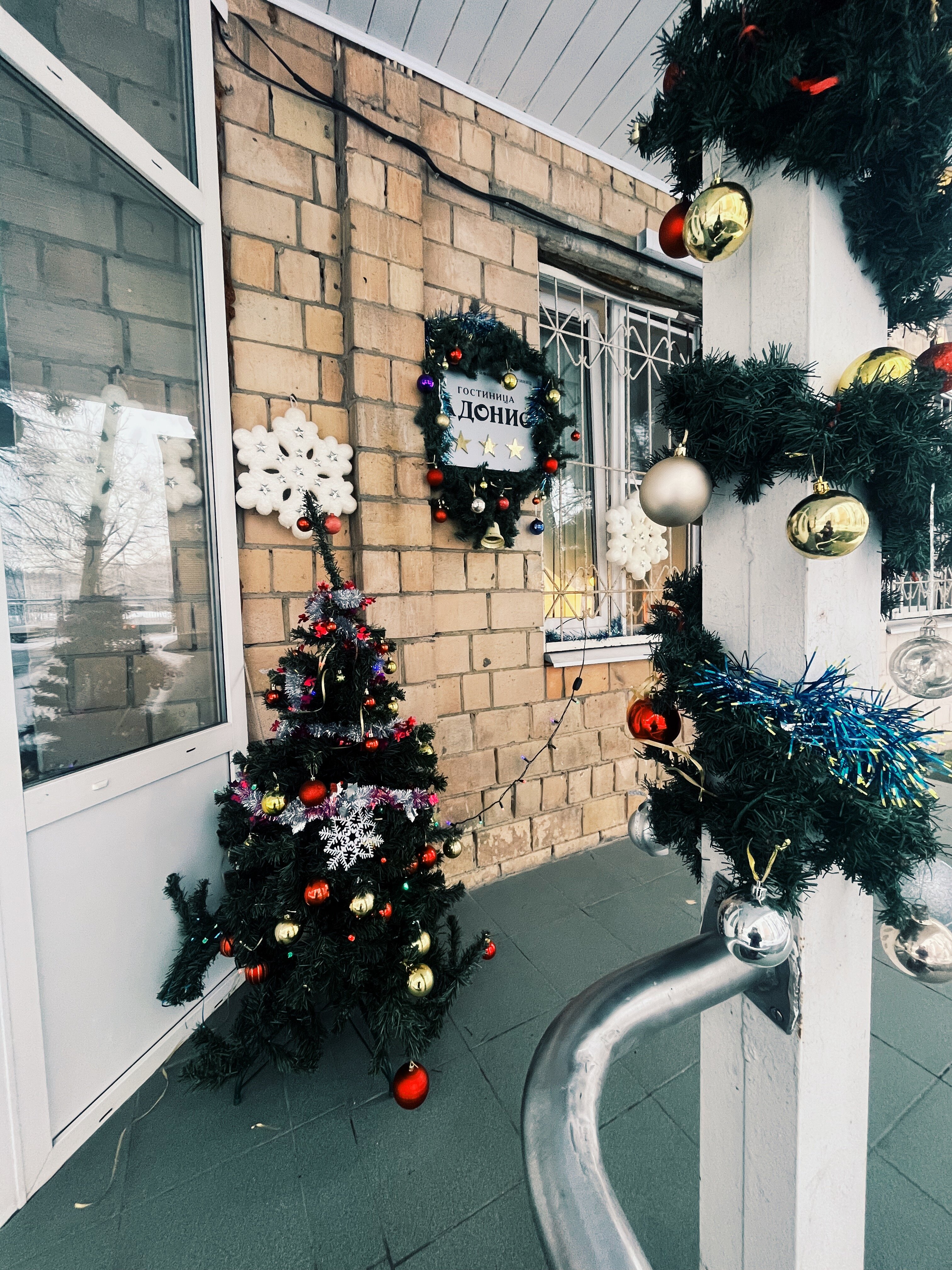 Фото Адонис