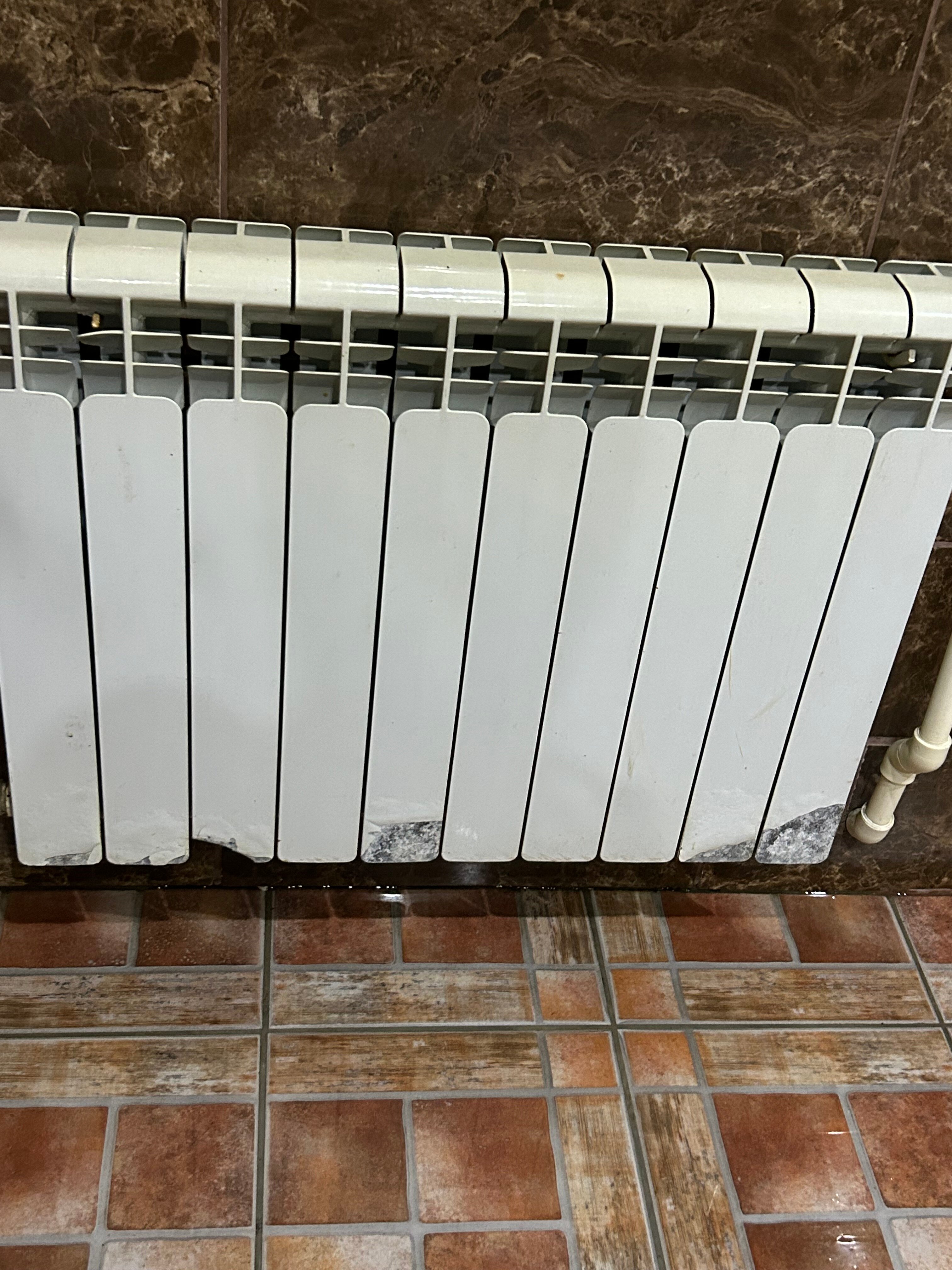 Фото Шангри Ла