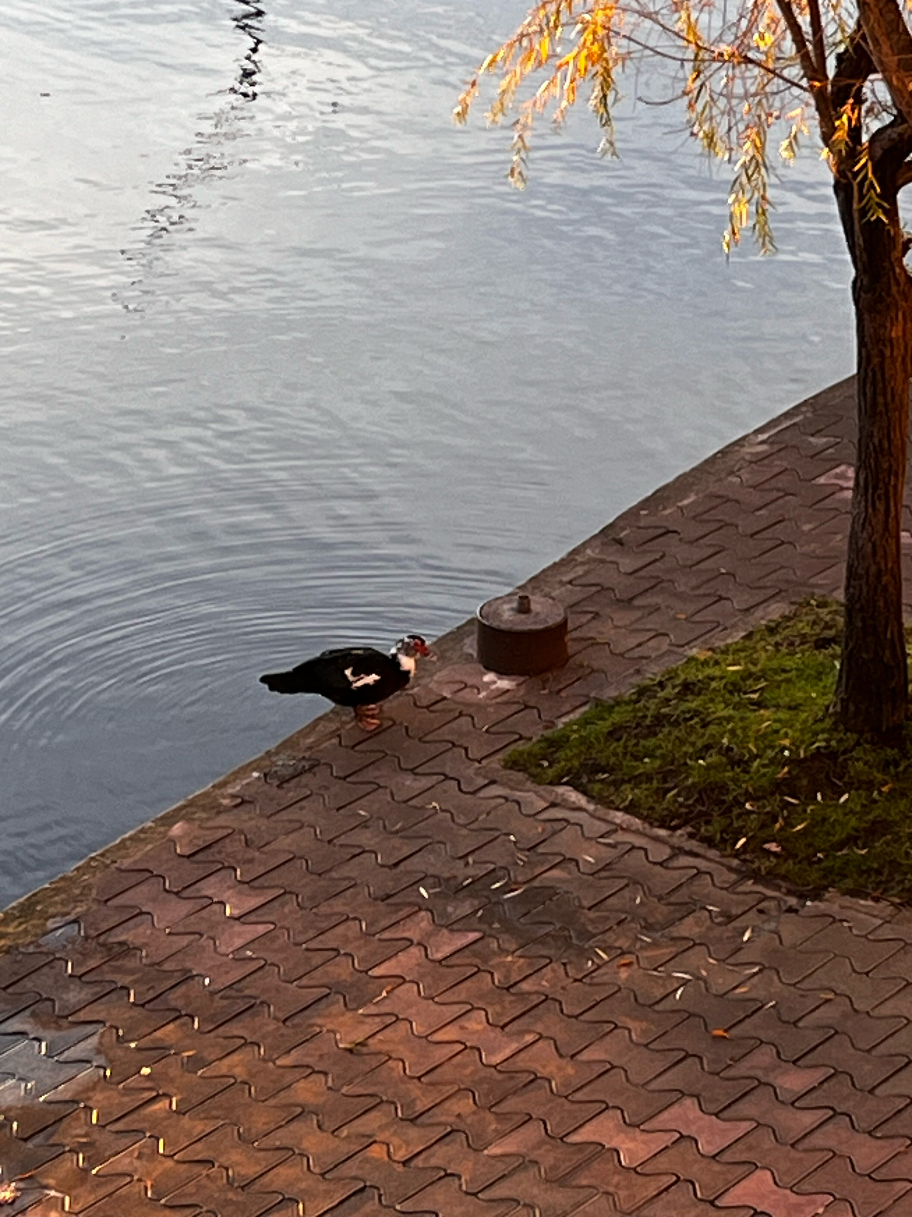 Фото Azanta Отель