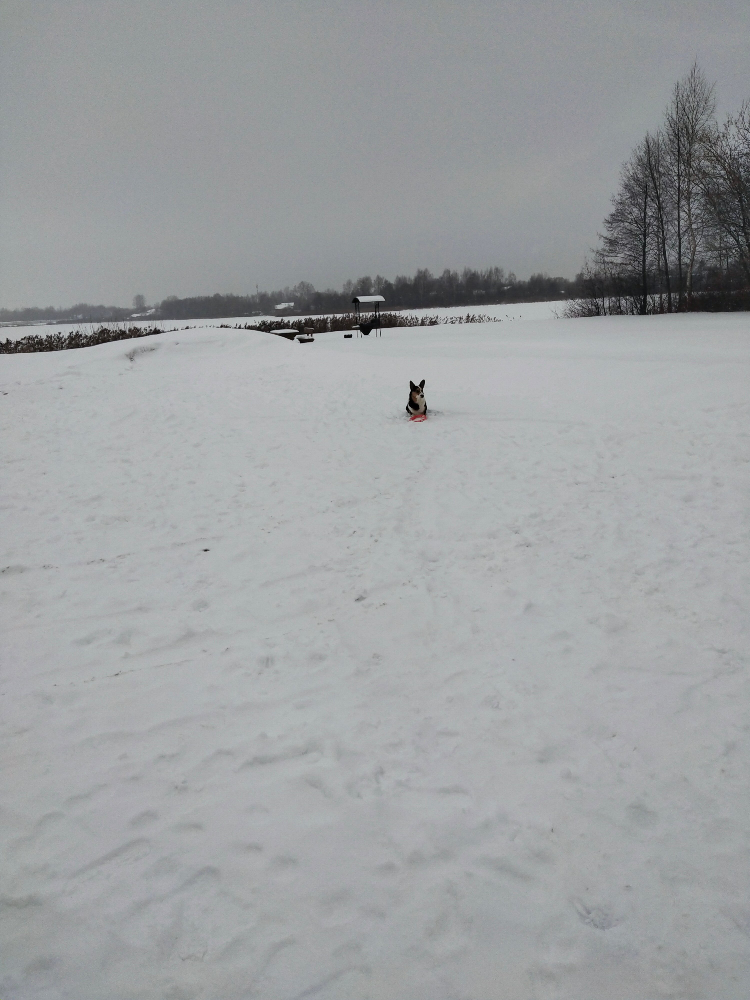 Фото Барин приехал