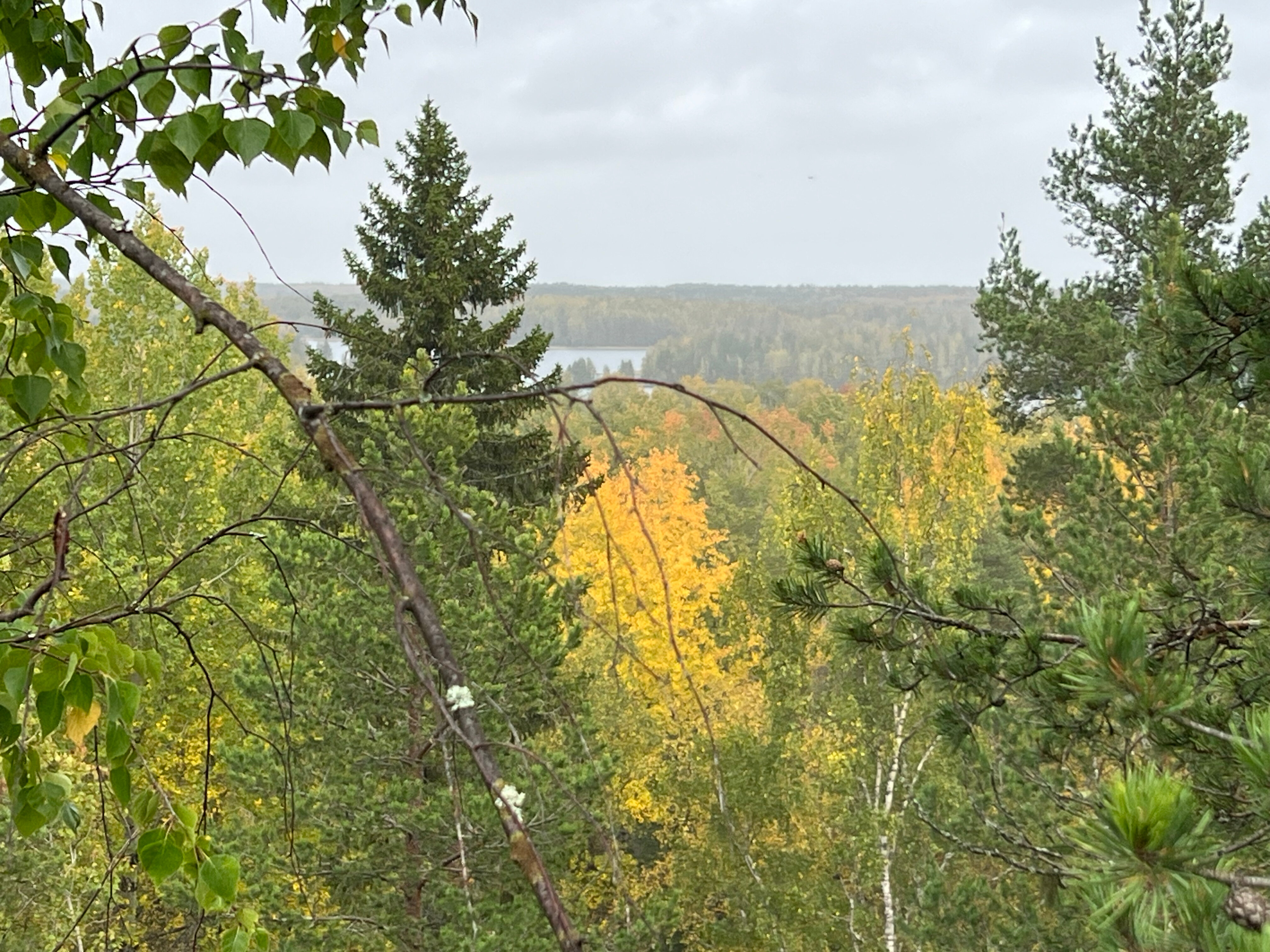 Фото Хутор Марья