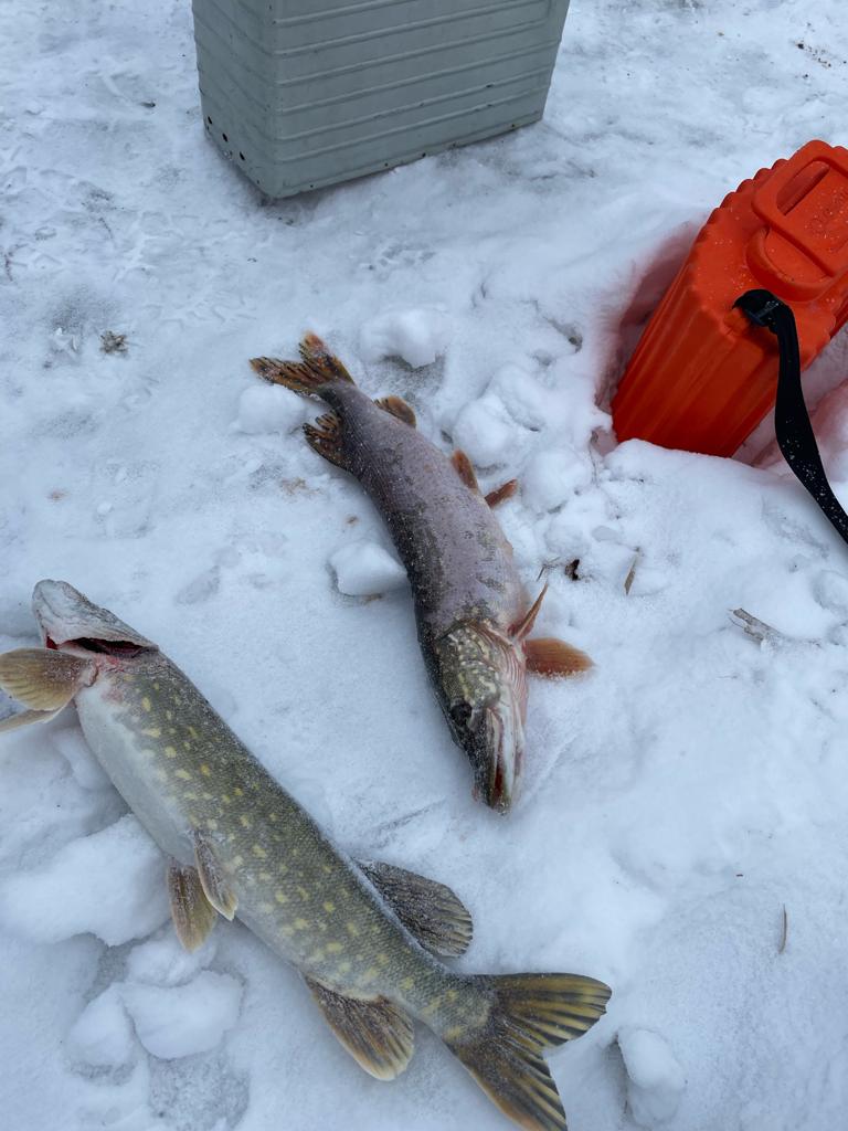 Фото Любимый в Любаново
